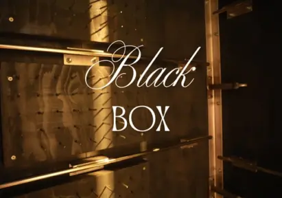 Black Box Domina Studio Verdant Obscura