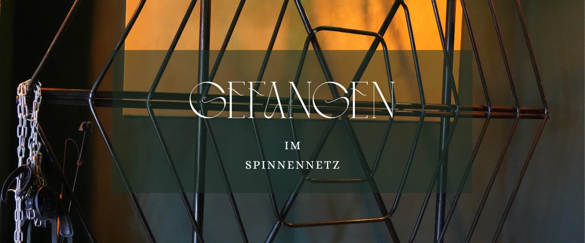 Bondage Spinnennetz Domina Studio Hamburg