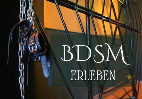 Domina Djinny BDSM Hamburg
