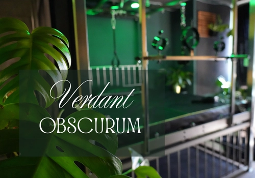 Studio Verdant Obscurum Hamburg